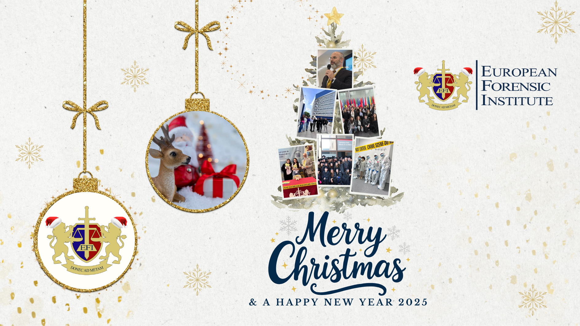 EUROPEAN FORENSIC INSTITUTE HAPPY NEW YEAR